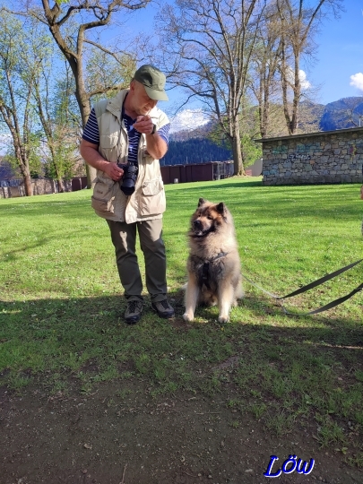19.4.2025 - Dressur - Erkl&auml;rung